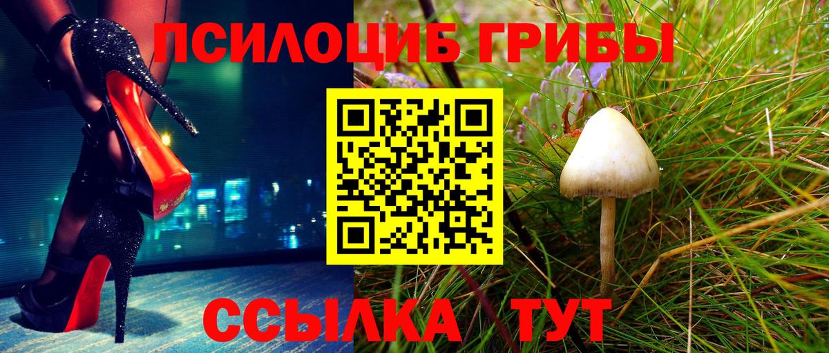 Ефремов  Псилоцибиновые грибы Psilocybe  Вход с VPN 